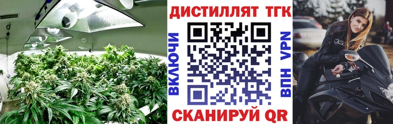 Купить где  Вязьма  Дистиллят ТГК жижа 