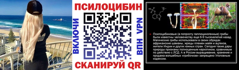 Купить где  Вязьма  Псилоцибиновые грибы мицелий 